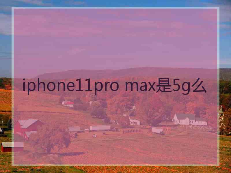 iphone11pro max是5g么