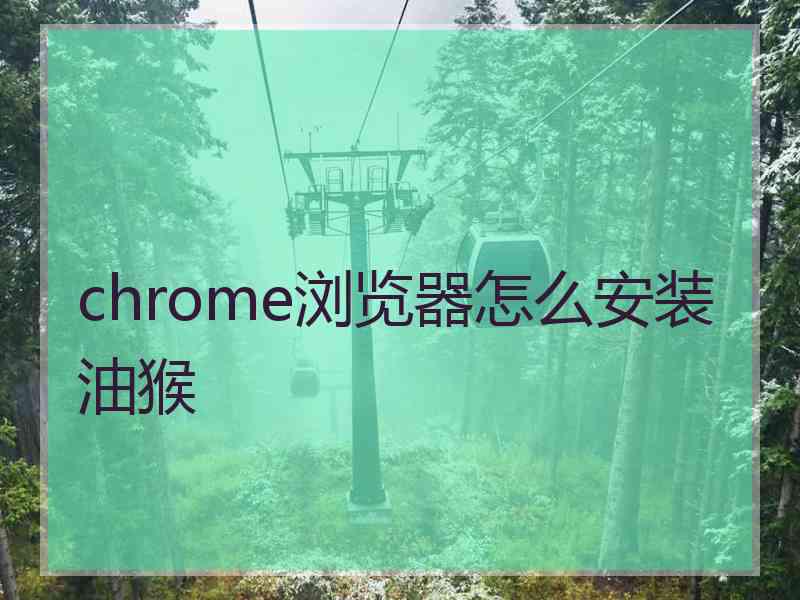 chrome浏览器怎么安装油猴