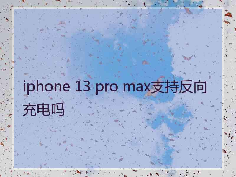 iphone 13 pro max支持反向充电吗