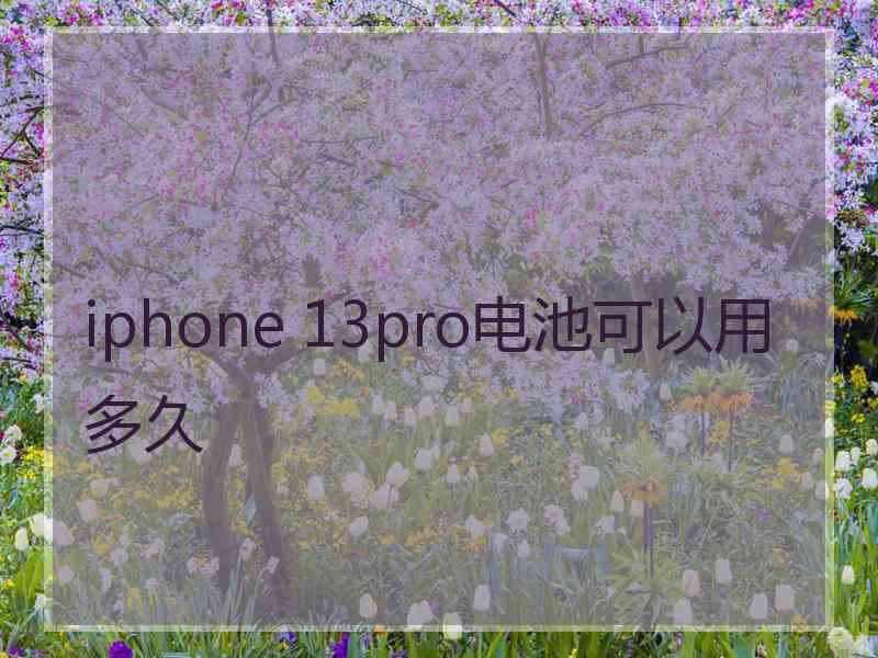 iphone 13pro电池可以用多久