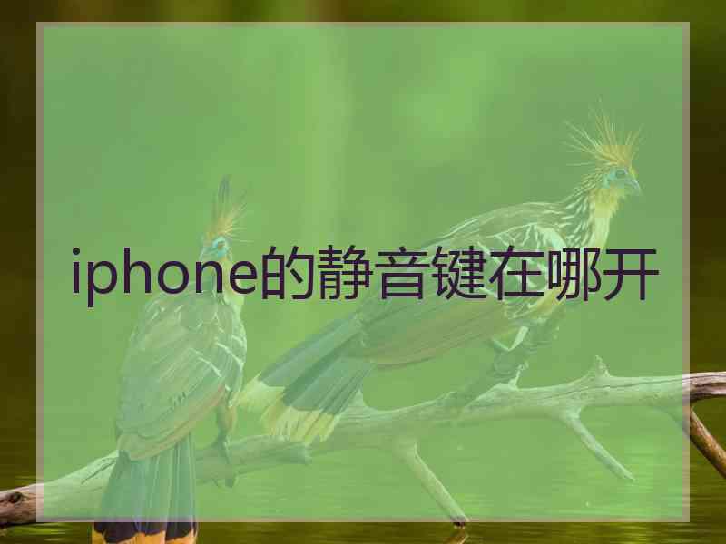 iphone的静音键在哪开