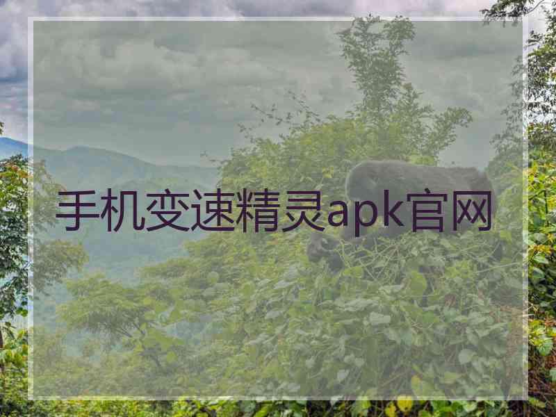 手机变速精灵apk官网