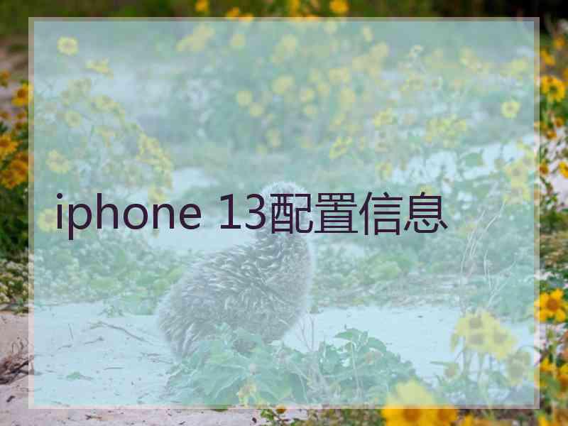 iphone 13配置信息