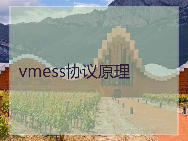 vmess协议原理