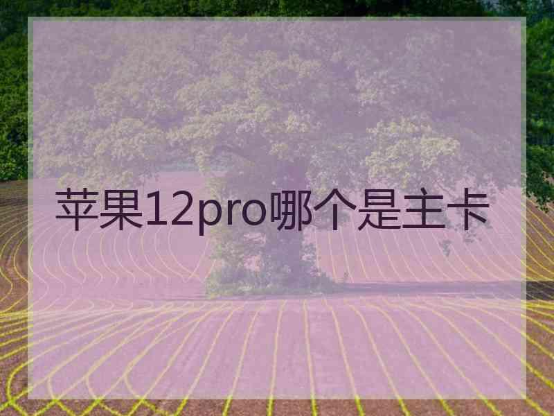 苹果12pro哪个是主卡