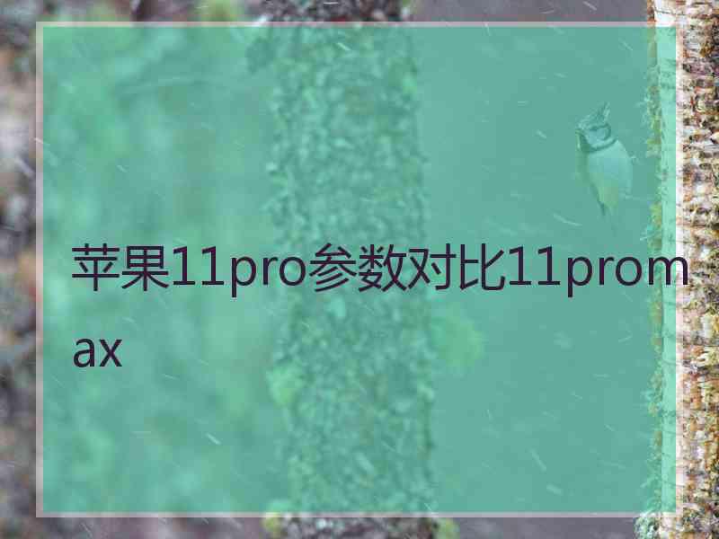 苹果11pro参数对比11promax