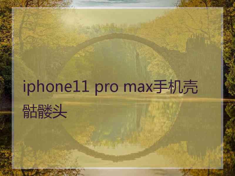 iphone11 pro max手机壳骷髅头