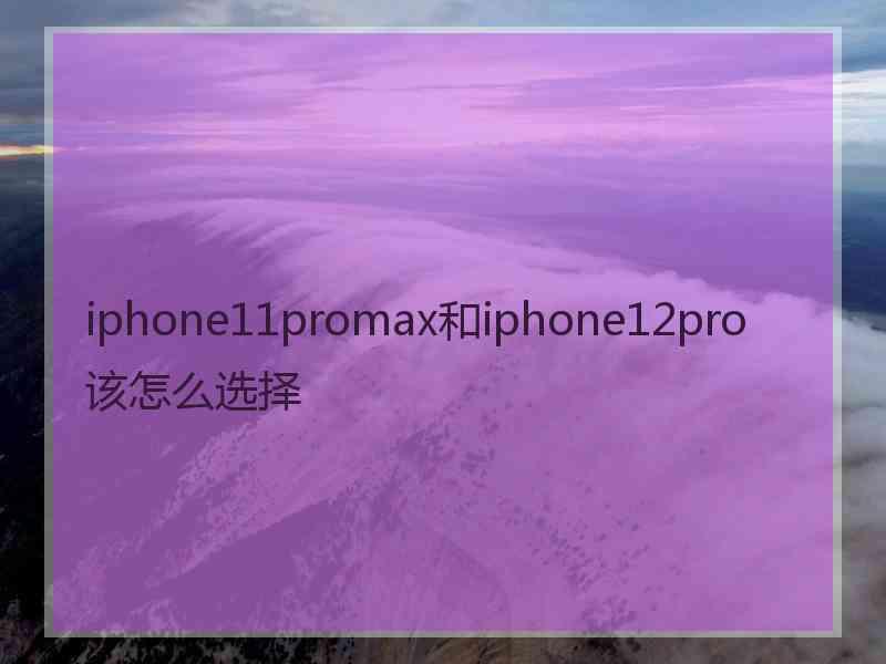 iphone11promax和iphone12pro该怎么选择