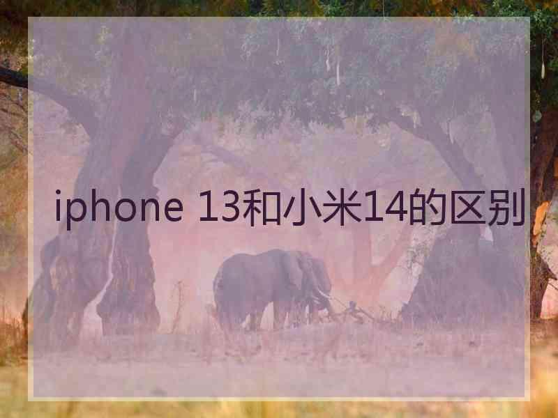 iphone 13和小米14的区别