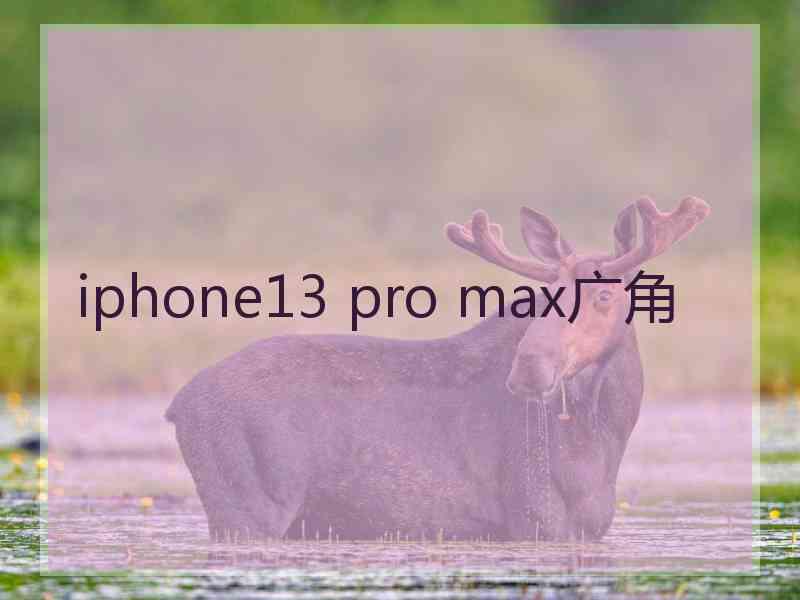 iphone13 pro max广角