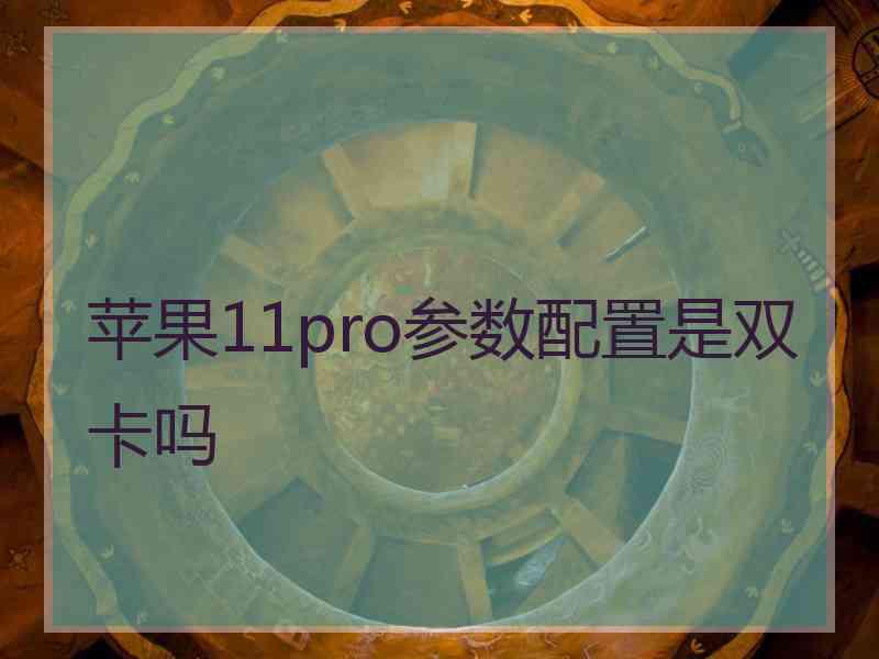 苹果11pro参数配置是双卡吗