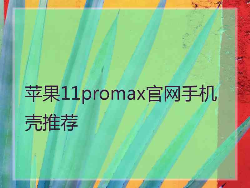 苹果11promax官网手机壳推荐