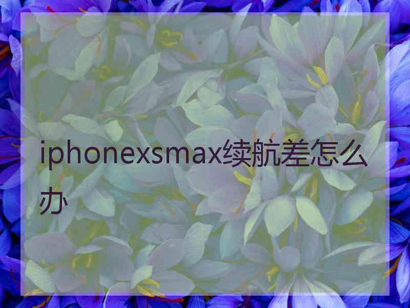 iphonexsmax续航差怎么办