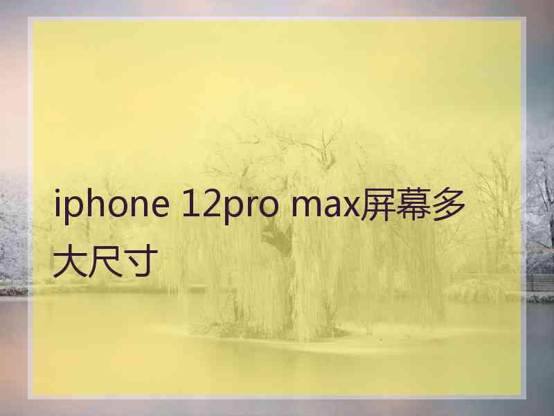 iphone 12pro max屏幕多大尺寸