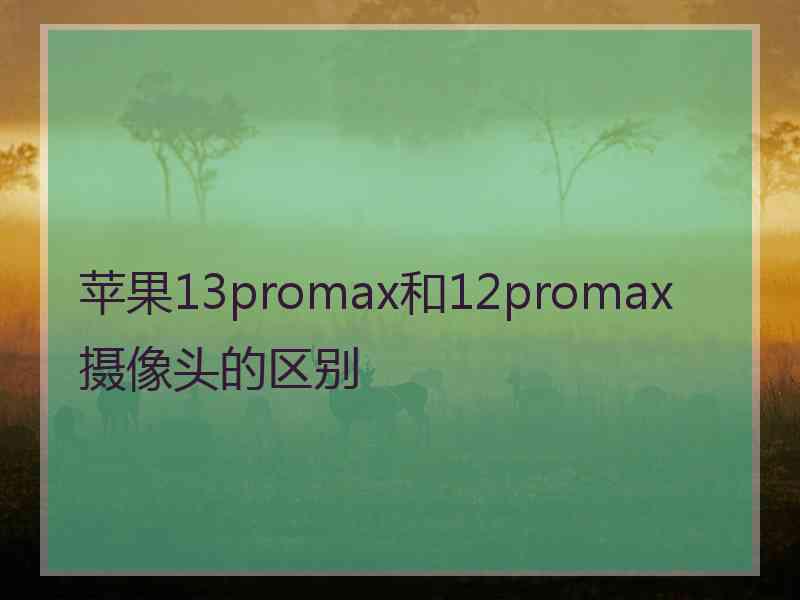 苹果13promax和12promax摄像头的区别