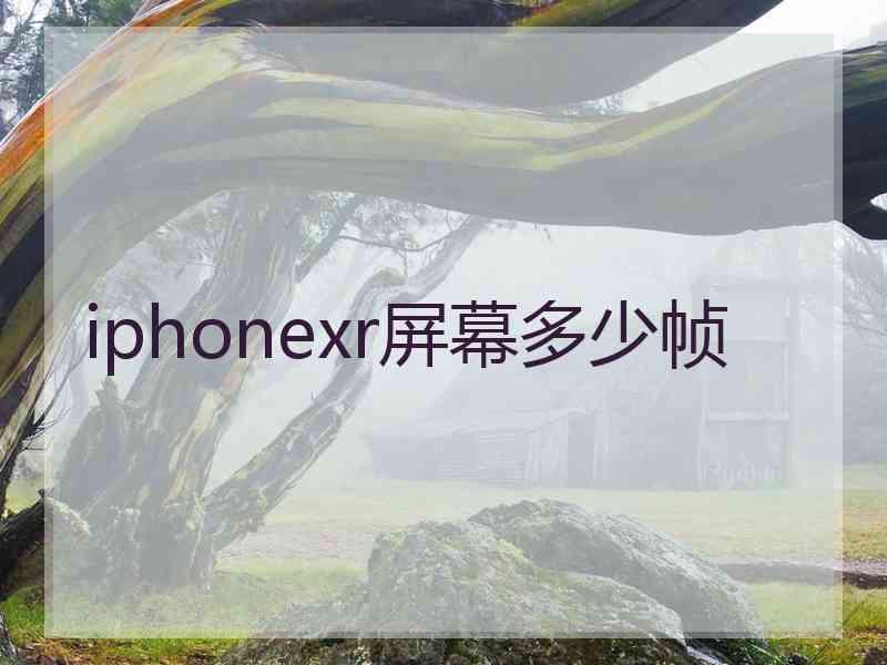 iphonexr屏幕多少帧