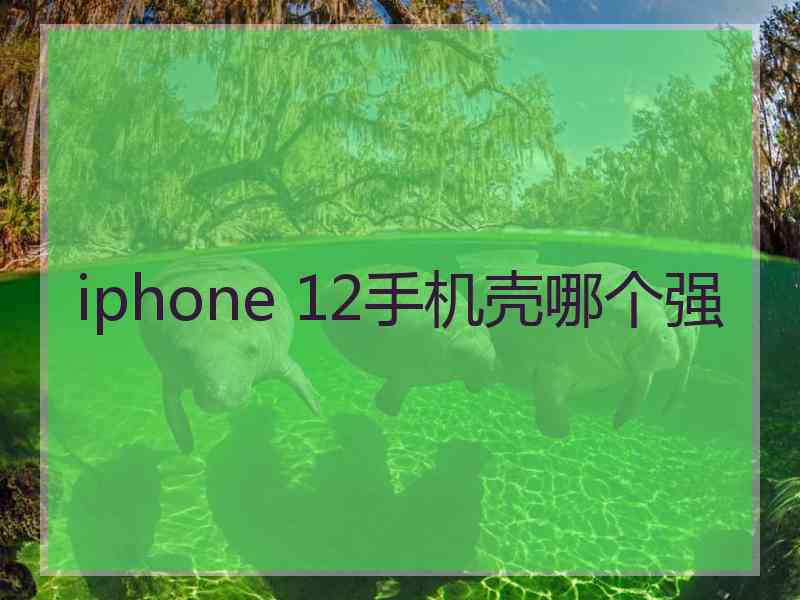 iphone 12手机壳哪个强