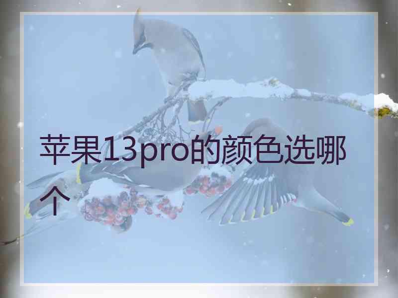 苹果13pro的颜色选哪个