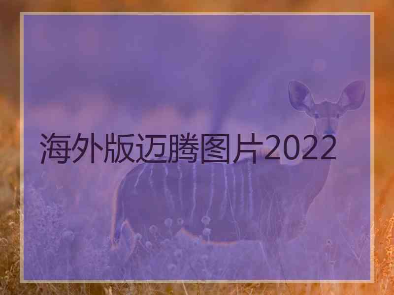 海外版迈腾图片2022