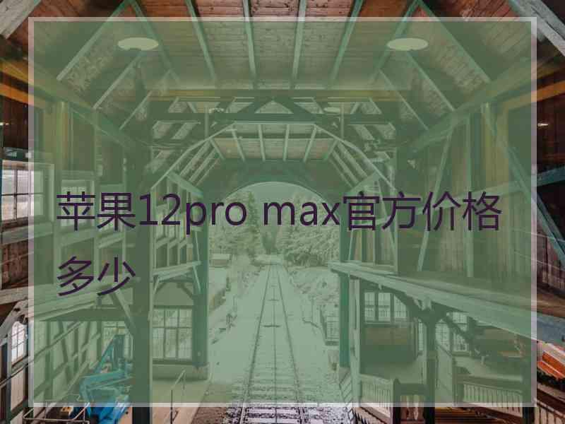 苹果12pro max官方价格多少