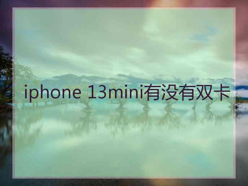 iphone 13mini有没有双卡