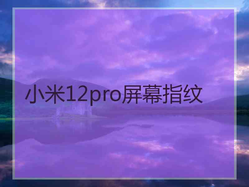 小米12pro屏幕指纹