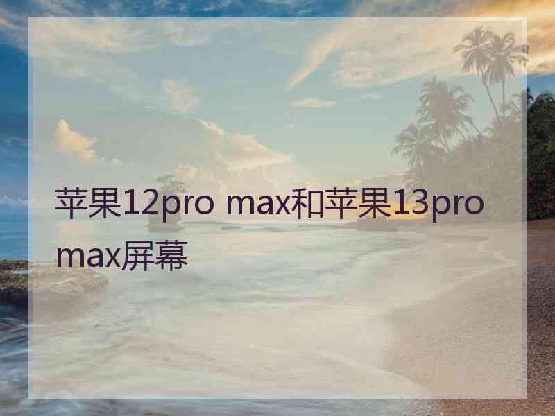 苹果12pro max和苹果13promax屏幕