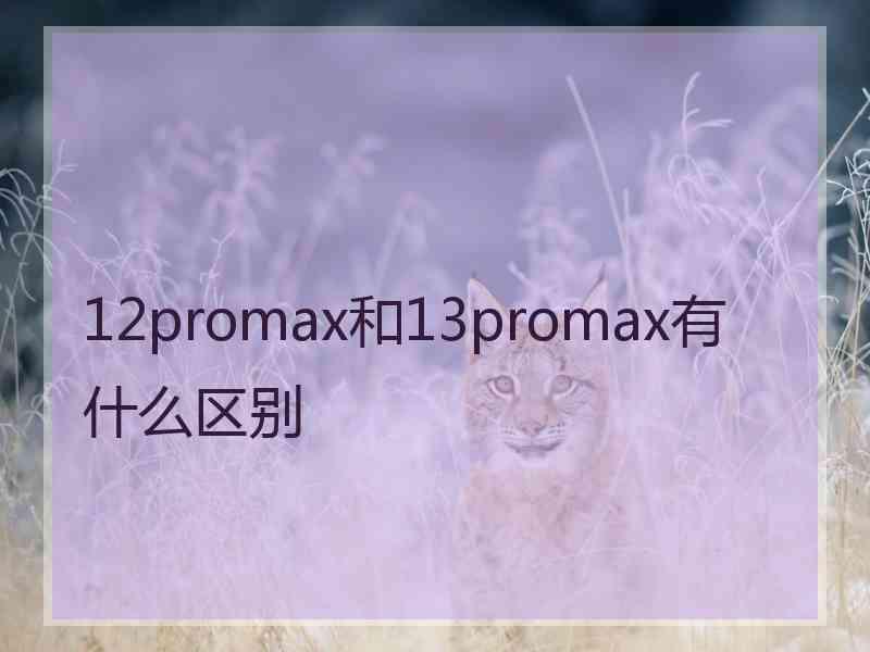 12promax和13promax有什么区别