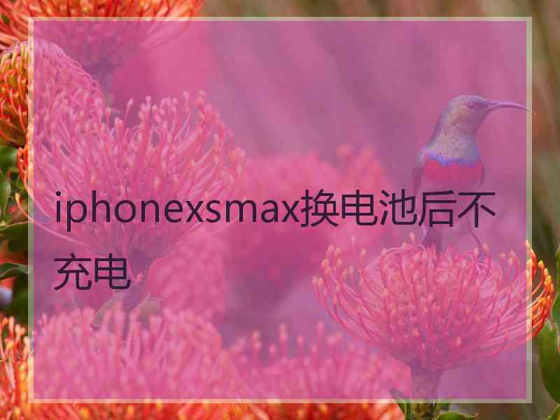 iphonexsmax换电池后不充电