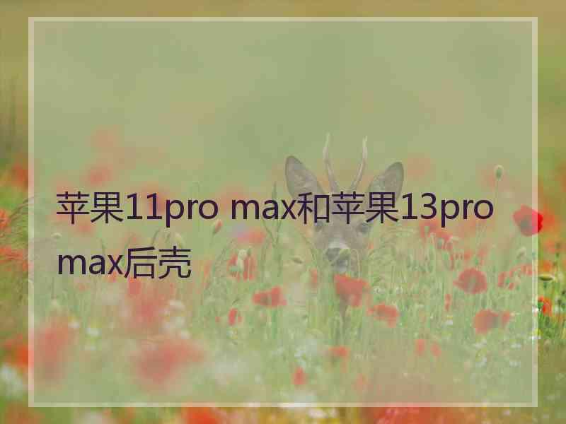 苹果11pro max和苹果13promax后壳