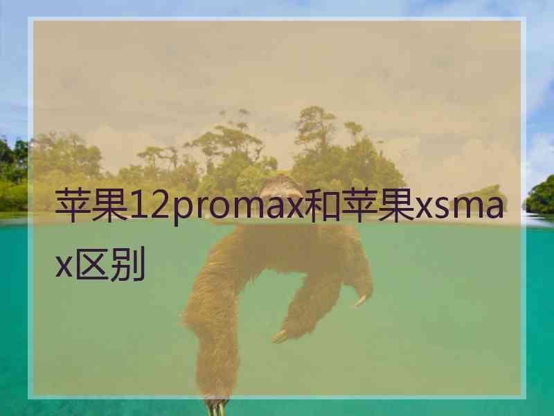 苹果12promax和苹果xsmax区别