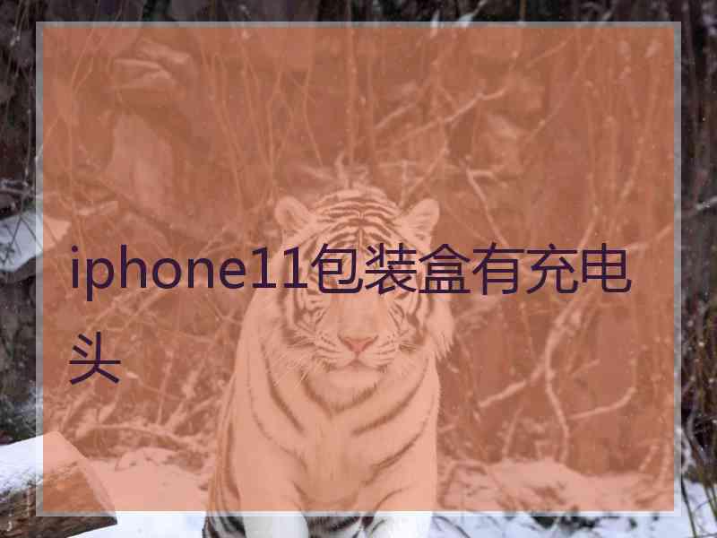 iphone11包装盒有充电头