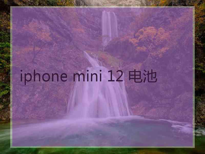 iphone mini 12 电池