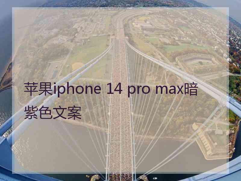 苹果iphone 14 pro max暗紫色文案