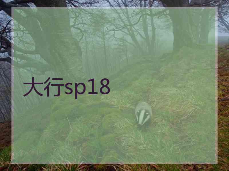 大行sp18