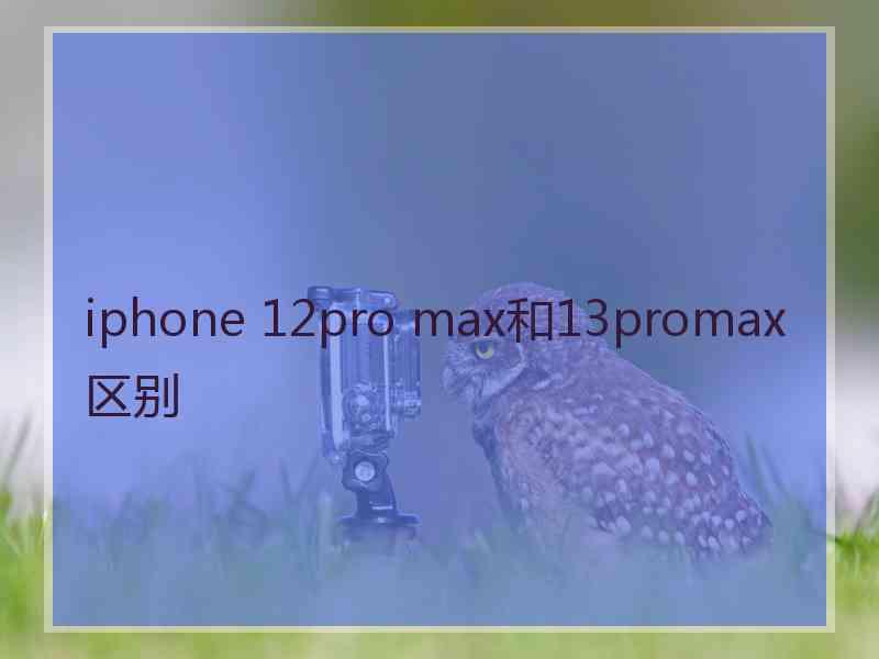 iphone 12pro max和13promax区别