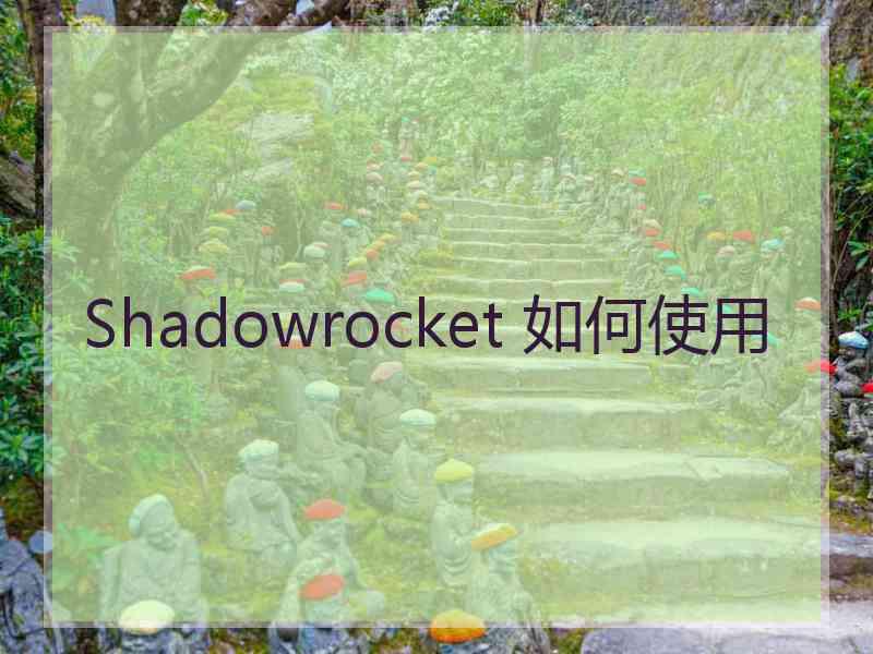 Shadowrocket 如何使用