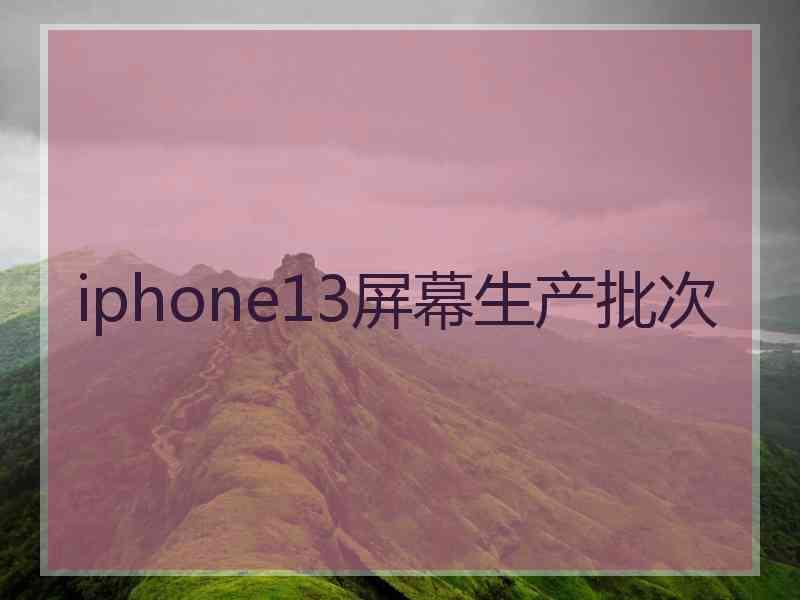 iphone13屏幕生产批次