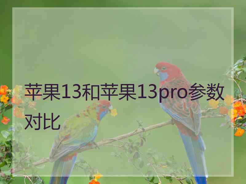 苹果13和苹果13pro参数对比