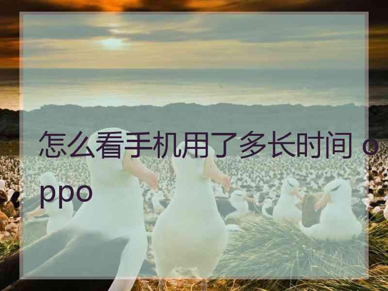 怎么看手机用了多长时间 oppo