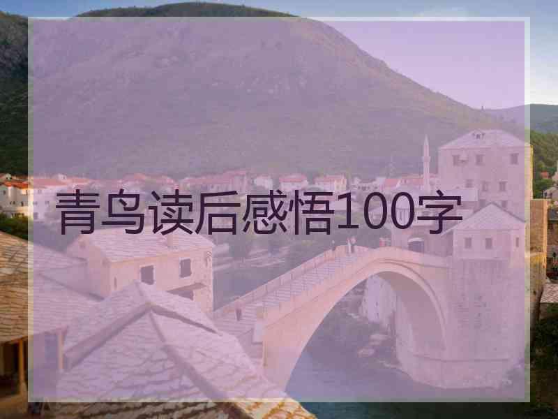 青鸟读后感悟100字