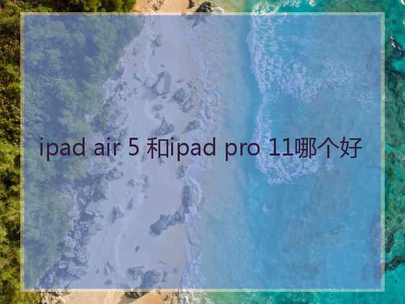 ipad air 5 和ipad pro 11哪个好