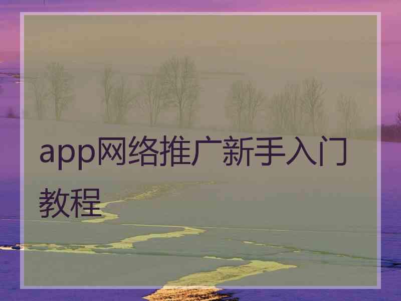 app网络推广新手入门教程