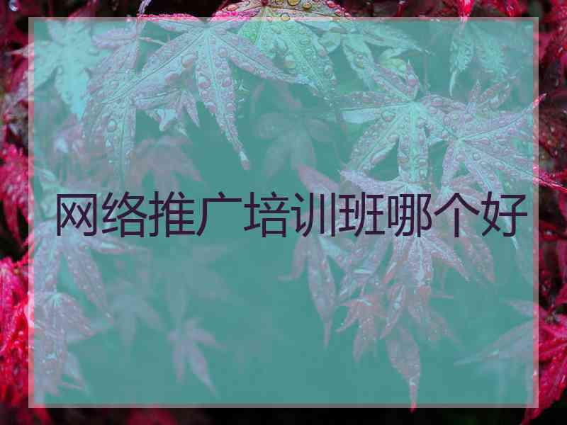 网络推广培训班哪个好