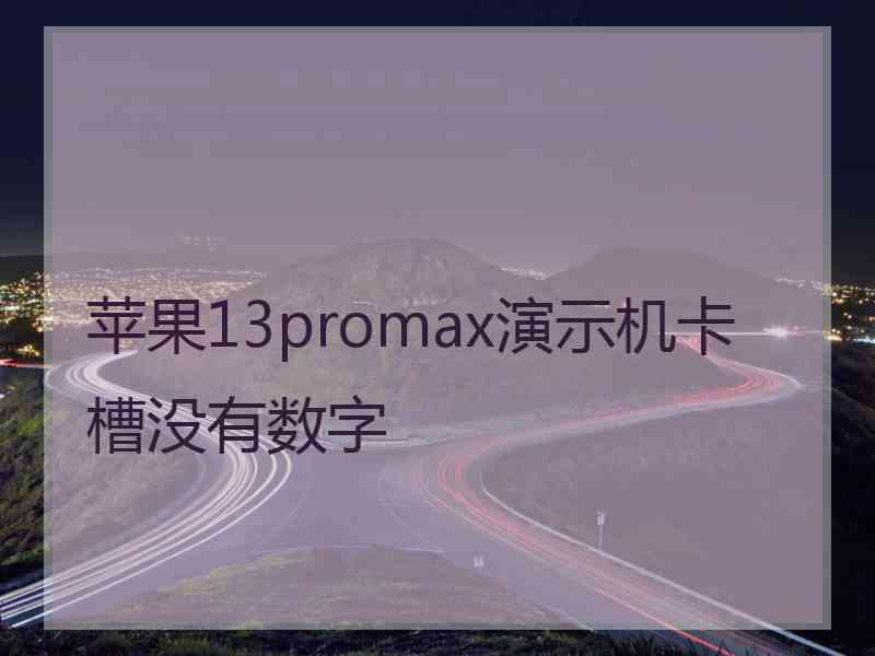 苹果13promax演示机卡槽没有数字