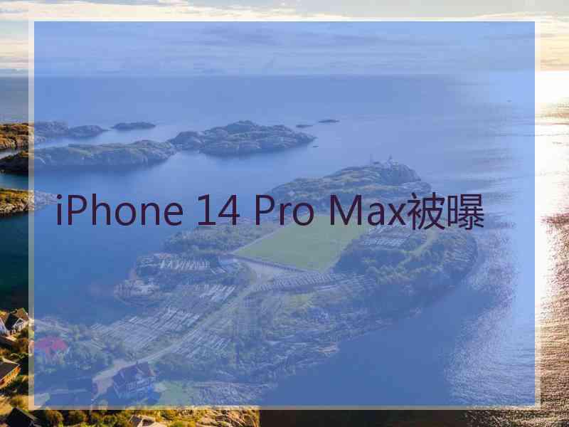 iPhone 14 Pro Max被曝