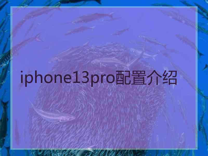 iphone13pro配置介绍