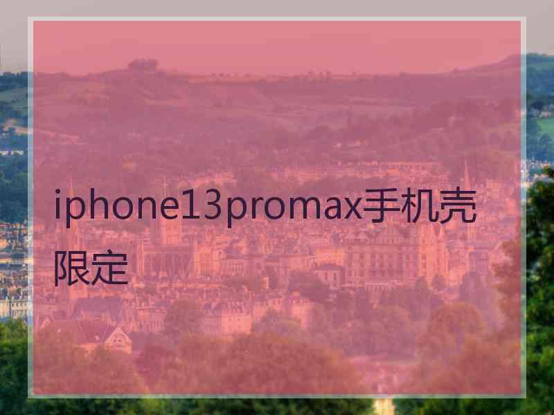 iphone13promax手机壳限定