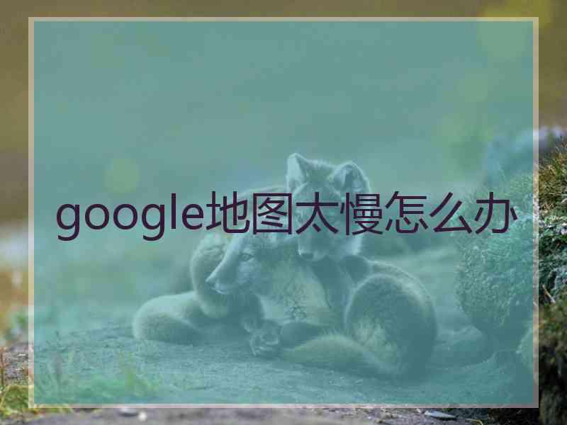 google地图太慢怎么办