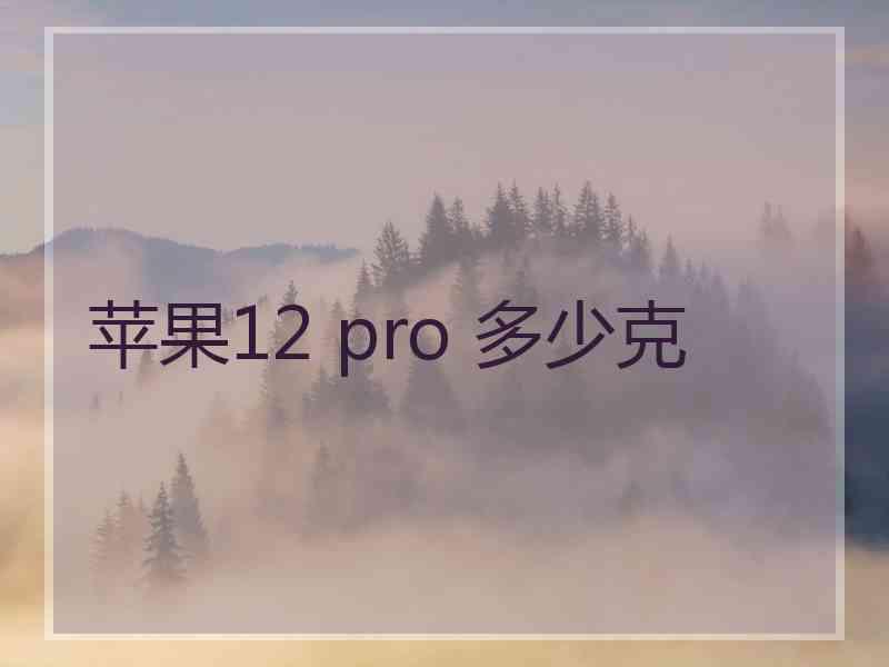 苹果12 pro 多少克